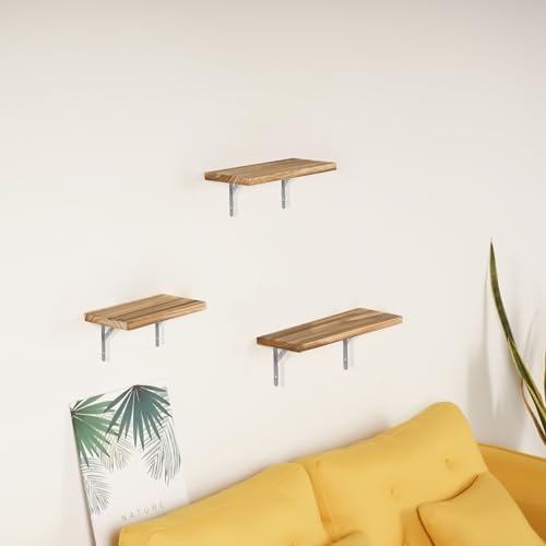 Shelf Brackets 10 Inch,2Pack Solid L Brackets Heavy Duty Shelf Brackets,90 Degree Triangle Stainless Steel Angle Bracket