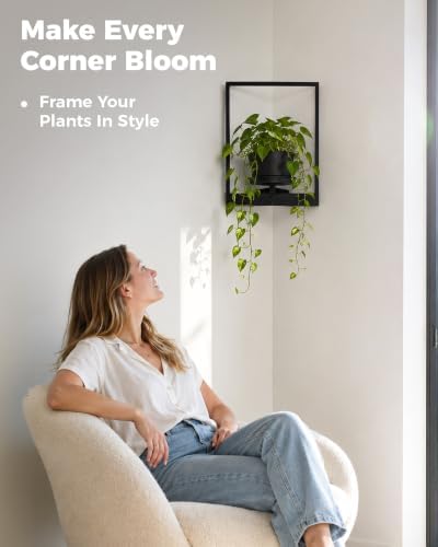 Bamworld Picture Frame Wall Planters Set of 2 Corner Wall Plant Holder