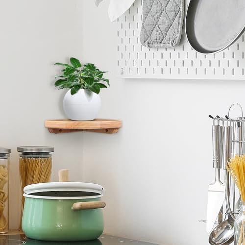 Alipis Natural Solid Wood Corner Shelf Wall Mounted, Dual-Fortified Floating Corner Shelves for Wall Storage, Round End