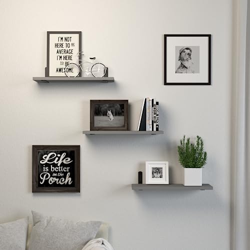 DOLLFIO Floating Wall Shelves, Decor & Storage, Grey, 16.5'', 3Pcs