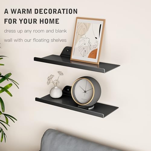 Floating Shelves for Wall, Wall Shelves, Off Center Metal Shelves for Living Room, 12” Modern Black Hanging Shelves for