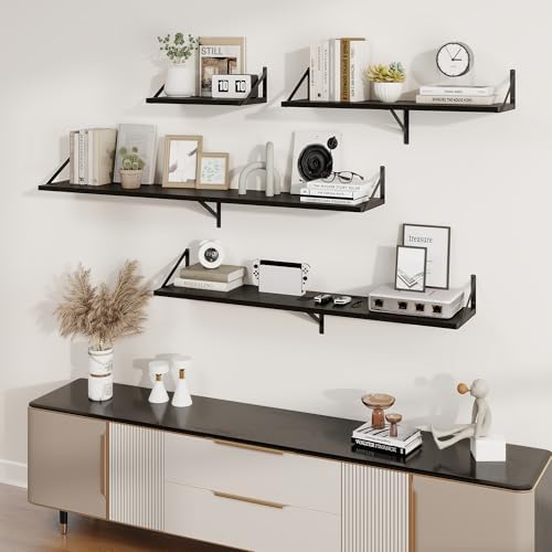 Axeman 20 Inch Floating Shelves, 10 Inch Deep Black Wall Shelves Set of 2