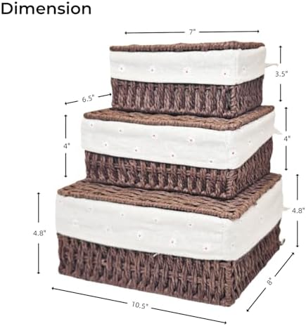 GIB Small Wicker Storage Baskets with Lid/Liner Woven Cute Decorative Boxes