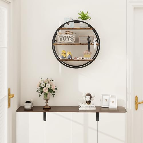 Circle Shelf Wall Decor, 3 Tier Decorative Round Wall Shelf