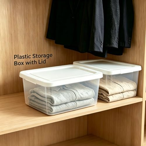 Storage Bins with Lids, 10 Pack 6 Qt Clear Plastic Stackable Shoe Boxes, Lid Organizer for Garage, Craft Supplies and Cl