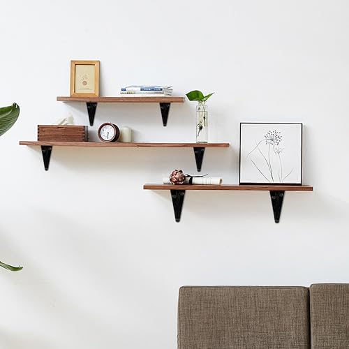 Lilaly 10 Pack Shelf Brackets 12 Inch Shelf Bracket, Heavy Duty L Brackets for Shelves for Hanging Floating Shelves Brac