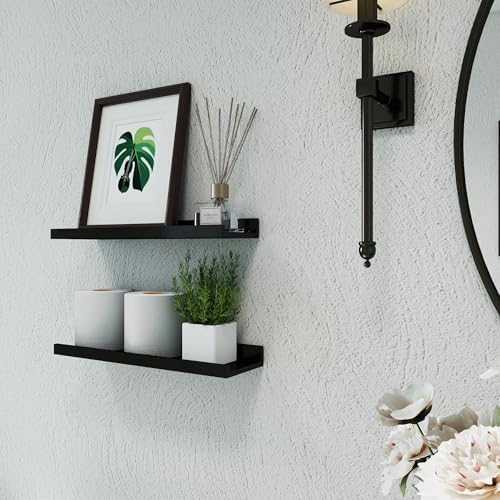 Black Floating Shelves for Wall Decor, 16 in Shelf with Lip Set of 2