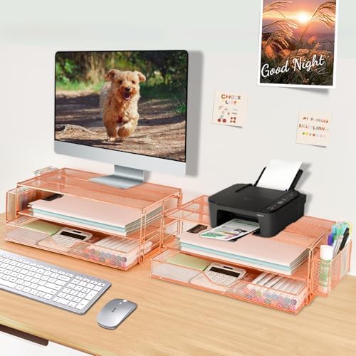 AUPSEN Computer Monitor Stands Riser,2-Tier Desk Organizers and Accessories, Office Desk Accessories Organizer with Draw