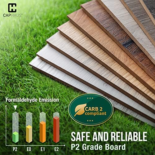 CAPHAUS 2 Tier Small Bookshelf, Bookcase Shelf Storage Organizer for Living Room, 24 Inch Width Free Standing Shelf, Ind