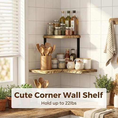 SRIWATANA 2-Tier Corner Wall Shelf, Rustic Wood Shelf, Carbonized Black