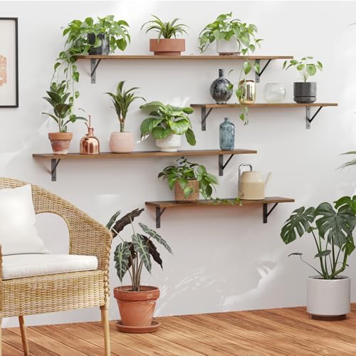 DINZI LVJ Long Wall Shelves, 55.1Inch Wooden Wall Mounted Shelves, Set of 4
