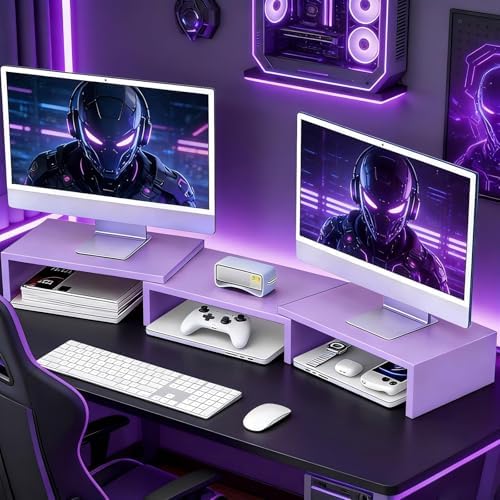 Desk Organizers and Accessories, Dual Monitor Stand Riser, Monitor Desk Shelf for Desktop Organization (Purple)