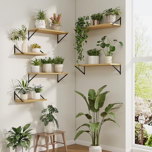 Axeman Deep Floating Shelves, 55'' x 10'' Oak Wall Shelves Set of 2