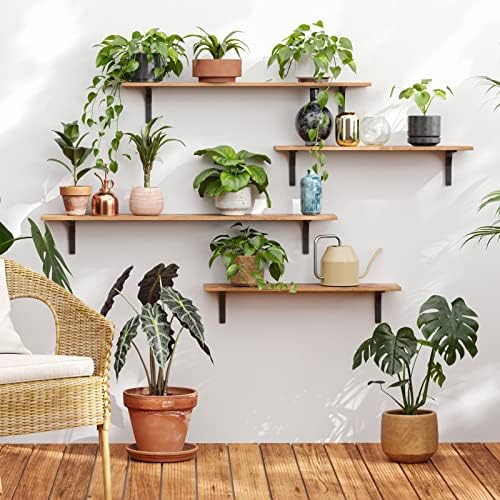 DINZI LVJ Long Wall Shelves, 39.4Inch Wooden Wall Mounted Shelves, Set of 4