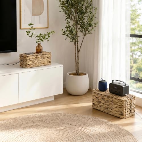 2 Pack Handwoven Cable Management Box with Lid, Decorative Cord Organizer for Power Strips, Chargers, TV Wires, Desk, Ho