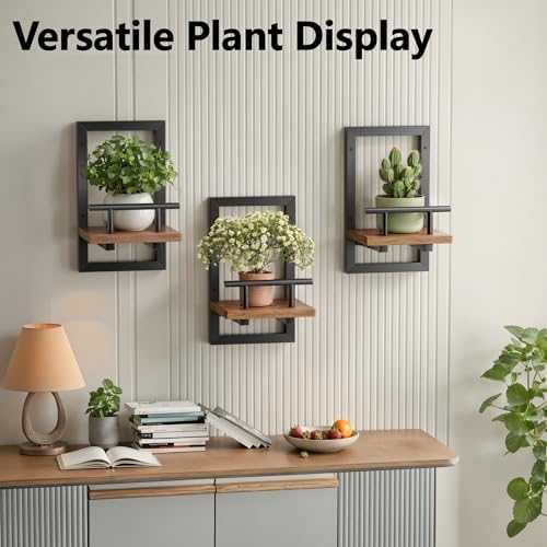 Sbosbo Floating Shelves for Wall Plant Shelf