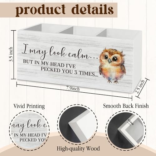 Owl Funny Pen Pencil Holder Organizer for Desk Accessories, I May Look Calm Funny Wooden Box Sign Desk Decor for Home Office Decoration, Owl Lovers Gifts for Women