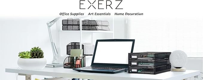 EXERZ Paper Sorter 3 Tier Drawers A4 / Multifunctional Desk Organiser/Letter Tray - Documents, Magazines, Notebooks and Letters