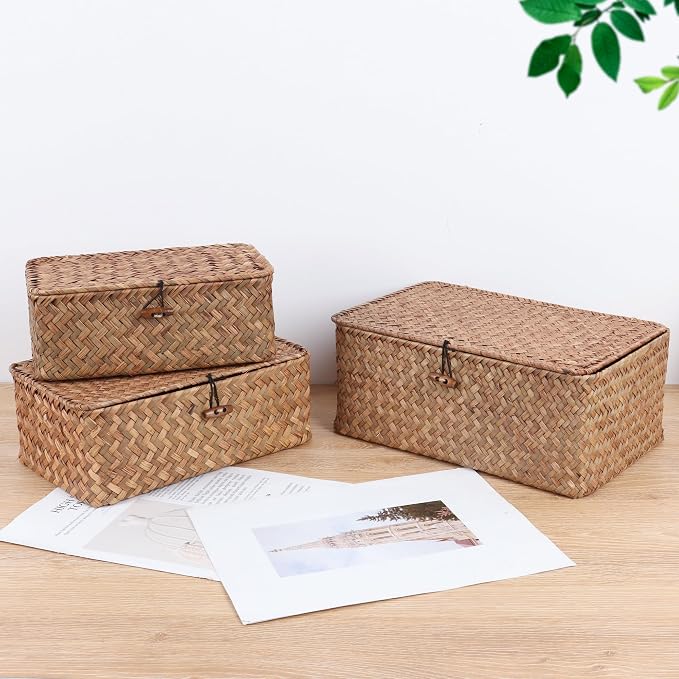 FEIALNDUO Wicker Shelf Baskets with Lid,Seagrass Storage Basket Bins Rectangular Handwoven Basket Boxes for Shelves Desktop Home Organizer (Coffee, Large)