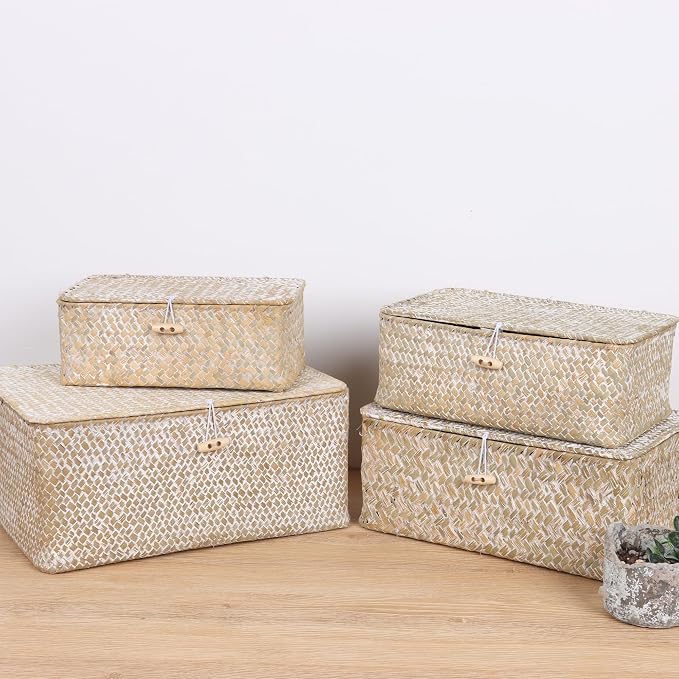 FEIALNDUO Wicker Shelf Baskets with Lid,Seagrass Storage Basket Bins Rectangular Handwoven Basket Boxes for Shelves Desktop Home Organizer (Whitewash, X-Small)