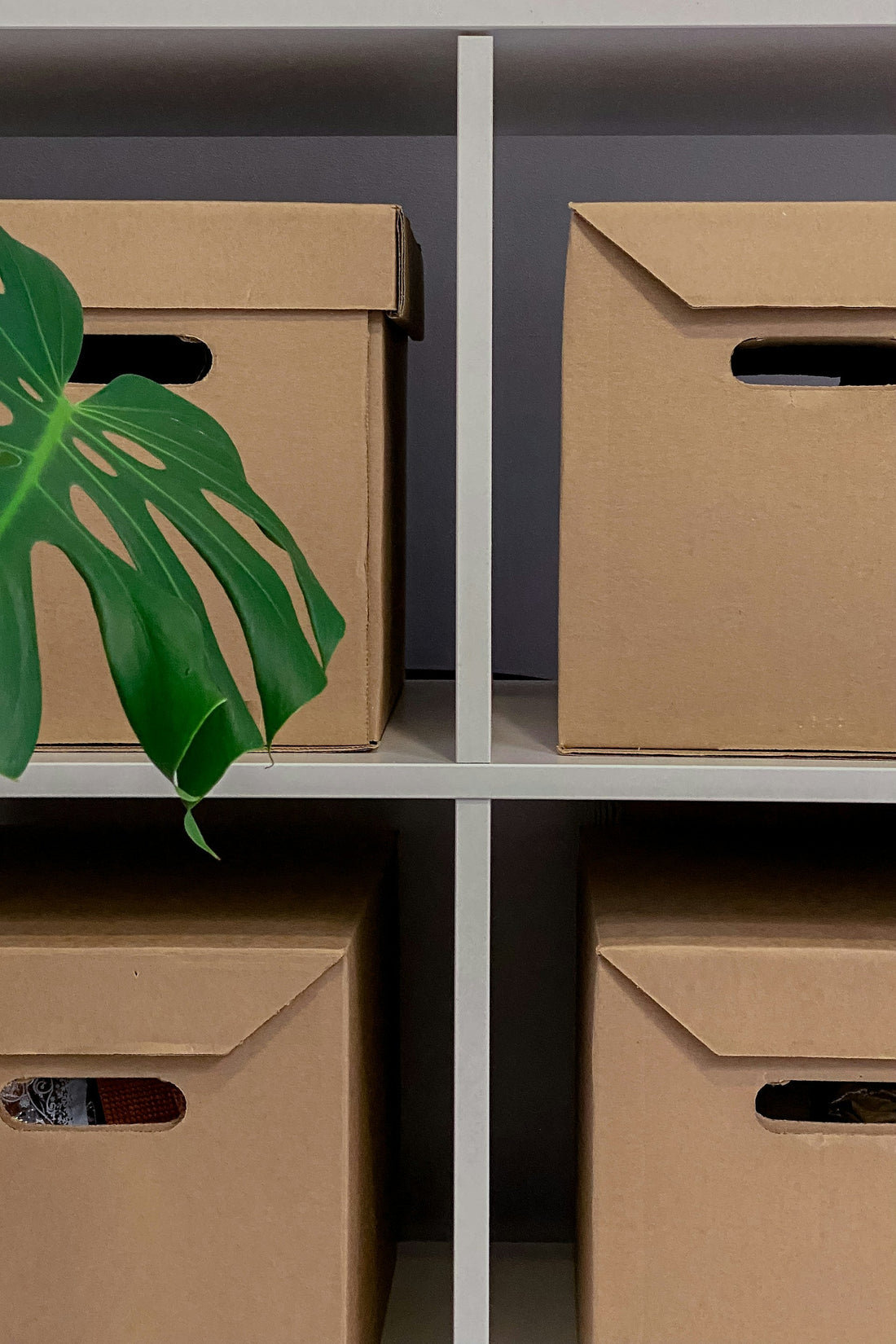Storage Bins vs Drawers: Which One for What