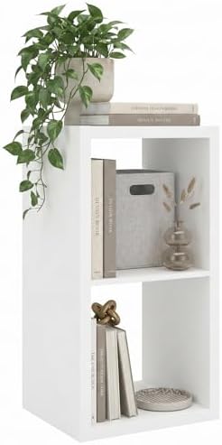 CTESNE【Wooden】 2 Cube Storage Organizer Shelf with Anti-Tipping Kits, Horizontal and Vertical Dual-use Standing Open Boo
