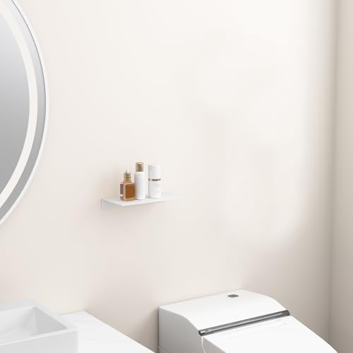 Danpoo 8 inch White Small Floating Shelf for Wall Organizer & Storage, Mini Display Shelf, Metal Wall Shelf for Bathroom