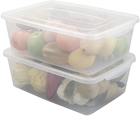 16 Quart Clear Storage Bin, Plastic Tubs with Lids Storage, 2-Pack