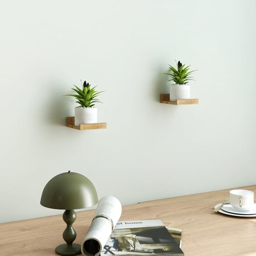 Small Oak Floating Shelves for Wall, Shelf with Lip Set of 2, 4 in