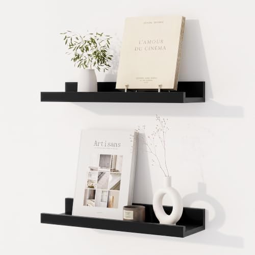 Dreamland Picture Ledge Shelf for Wall, Floating Shelves Set of 2,16 inch Long Floating Shelves with Lip for Living Room
