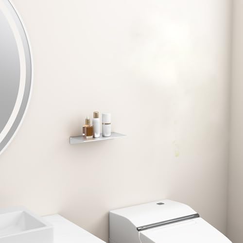 Danpoo 8 inch Small Floating Shelf for Wall Organizer & Storage, Mini Display Shelf, Metal Wall Shelf for Bathroom, Livi