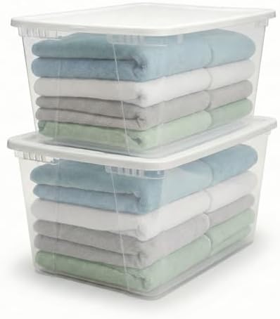 HOMZ Snaplock, Large Clear Plastic Storage Organizer Bins w/Lids, 2 Pack