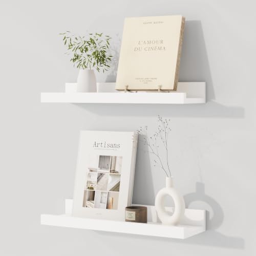 Dreamland Picture Ledge Shelf for Wall, Floating Shelves Set of 2,16 inch Long Floating Shelves with Lip for Living Room