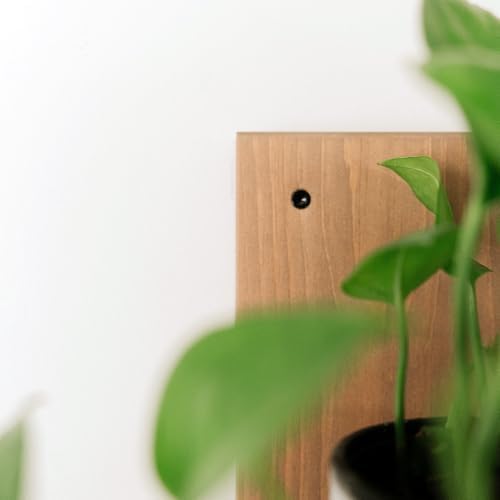 Daniel's Plants 3-Pack Mid-Century Modern L-Shaped Floating Shelves | Solid Wood Plant Ledge | Wall Mounted Shelf Kit (P