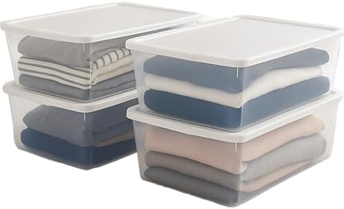 HOMZ Snaplock, Small Clear Plastic Storage Organizer Bins w/Lids, 4 Pack