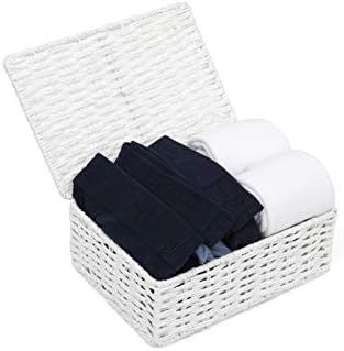 ARPAN Paper Rope Storage Basket Box with Lid-White, Small