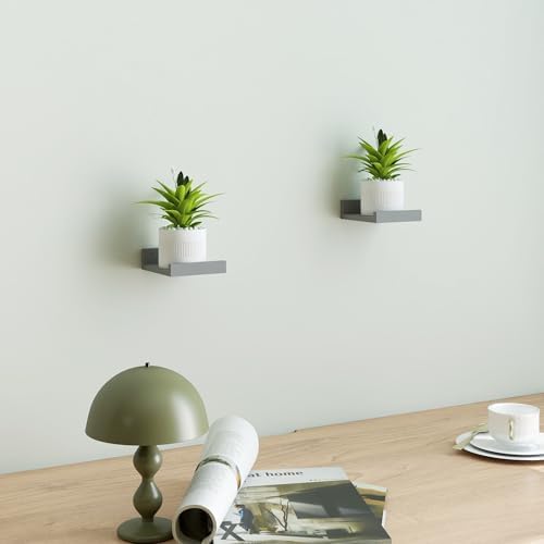Small Grey Floating Shelves for Wall, Shelf with Lip Set of 2, 4 in