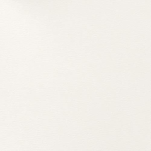 Frenchi Home Furnishing 5-Tier Corner Stand, White