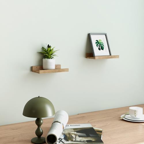 Small Oak Floating Shelves for Wall, Shelf with Lip Set of 2, 8 in