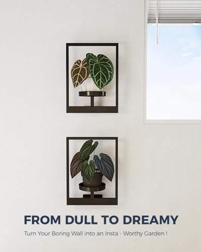 Bamworld Wall Plant Holder Plant Stand Indoor Wall Planters Black