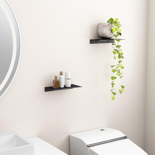Danpoo 8 inch Small Floating Shelves for Wall Organizer & Storage, Mini Display Shelves, Metal Wall Shelves for Bathroom