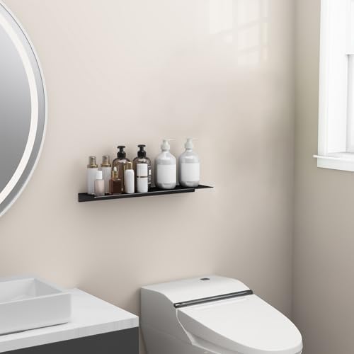 Danpoo 20 inch Floating Shelf for Wall Organizer & Storage, Mini Display Shelf, Metal Wall Shelf for Bathroom, Living Ro