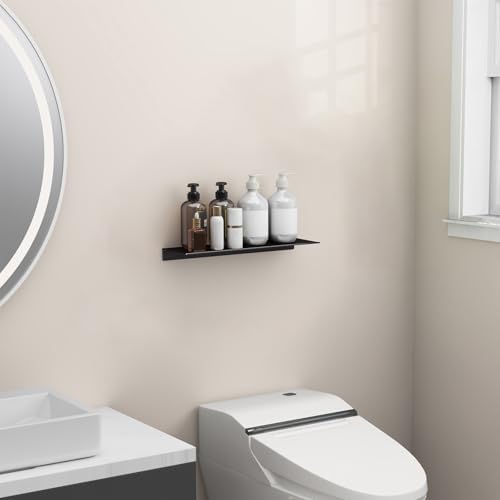 Danpoo 16 inch Floating Shelf for Wall Organizer & Storage, Mini Display Shelf, Metal Wall Shelf for Bathroom, Living Ro