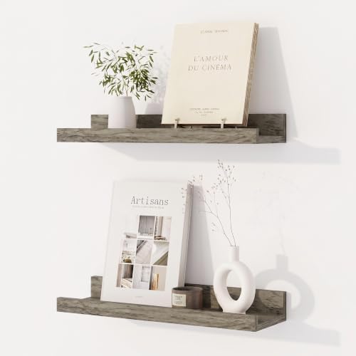 Dreamland Picture Ledge Shelf for Wall, Floating Shelves Set of 2,16 inch Long Floating Shelves with Lip for Living Room,Bedroom,Bathroom,Kitchen,Grey