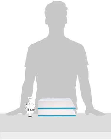 Amazon Basics Letter Tray - Blue and White - 2 pack