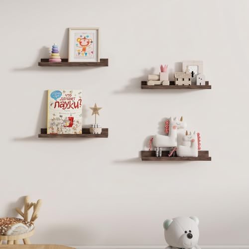 Dreamland Picture Ledge Shelf for Wall, Floating Shelves Set of 2,18 inch Long Floating Shelves with Lip for Living Room
