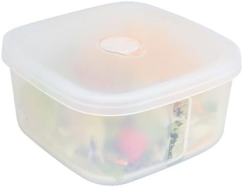 OTB Set of 2 Reusable Silicone Containers Clear, Nesting Leak-free Silicone Food Storage Boxes, BPA Free, Airtight, Dishwasher and Freezer Safe (Clear XL)