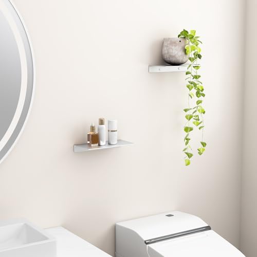 Danpoo 8 inch Small Floating Shelves for Wall Organizer & Storage, Mini Display Shelves, Metal Wall Shelves for Bathroom