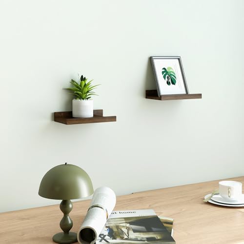 Small Walnut Floating Shelves for Wall, 8 in Shelf with Lip Set of 2