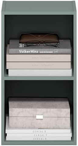 Furinno PASIR Book Shelf, 2-Tier Modern Bookshelf, Open Shelves Bookcase 9 x 12 x 21, Easy Assembly, for Living Room, Be